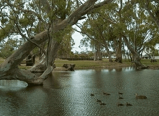 Bordertown Abode Parkland Motel - Lismore Accommodation 2