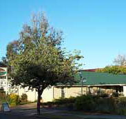 Riverland Motor Inn - Lismore Accommodation