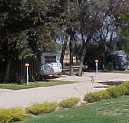 Paringa Caravan Park - Lismore Accommodation