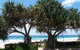 Pacific Surf Absolute Beachfront Apartments - thumb 0