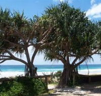 Pacific Surf Absolute Beachfront Apartments - Lismore Accommodation