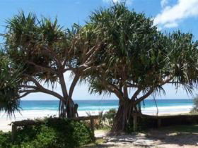 Pacific Surf Absolute Beachfront Apartments - Lismore Accommodation 0