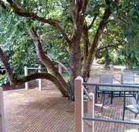 Magnolia House Marysville - Lismore Accommodation