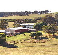 Sun Valley Eco Farm - Lismore Accommodation