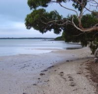Stanley Lakeside Spa Cabins - Lismore Accommodation