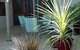 Barossa Best Bed And Breakfast - thumb 1