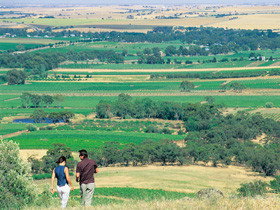 Barossa Best Bed And Breakfast - Lismore Accommodation 5