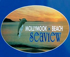 A Mollymook Beach Seaview - Lismore Accommodation 0