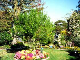 Jolly Swagman Caravan Park - Lismore Accommodation 0