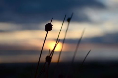 Dune Hideaway - Lismore Accommodation 8