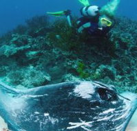Heron Island Resort - Lismore Accommodation