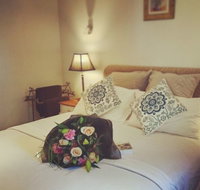 Springs Creek - Lismore Accommodation