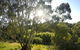 Springs Creek - thumb 4