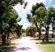 Bathers Paradise Caravan Park - Lismore Accommodation
