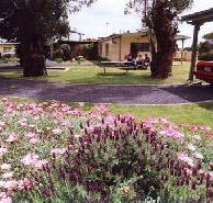 Brigadoon Holiday Units - Lismore Accommodation