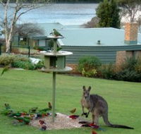 Gipsy Point Lakeside - Lismore Accommodation
