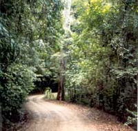 Mt Glorious Getaway Cottages And Conference Centre - Lismore Accommodation