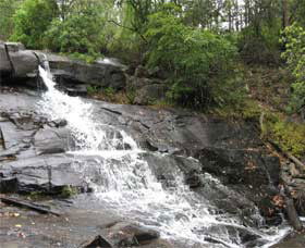 Gully Falls House - Lismore Accommodation 0