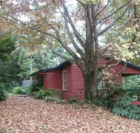 Turkeys Nest Rainforest Cottage - Lismore Accommodation