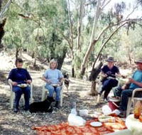 Bimbimbi And Little Hollow Farm Stay - Lismore Accommodation