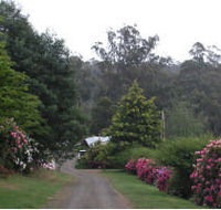Mountain Rivers Lodge - Lismore Accommodation