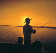 Point Stuart Wilderness Lodge - Lismore Accommodation