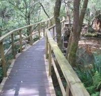 The Mouses House - Lismore Accommodation