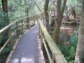 The Mouses House - Lismore Accommodation 0