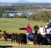 Bonny Brae - Lismore Accommodation