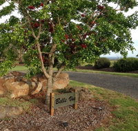 Belle Vue Studio - Lismore Accommodation