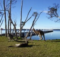 Waterfront Retreat At Wattle Point - Lismore Accommodation