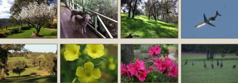 Moondyne Country Convention Centre - Lismore Accommodation 2