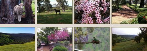 Moondyne Country Convention Centre - Lismore Accommodation 3