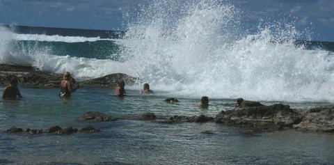 Orchid Sands Fraser Island Accommodation - Lismore Accommodation 5