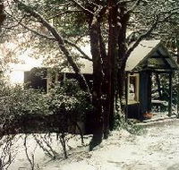 Waldheim Cabins - Lismore Accommodation