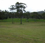 Mt White Lodge - Lismore Accommodation