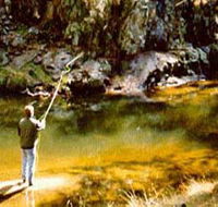 Markdale Homestead - Lismore Accommodation