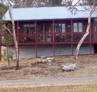 Ivybrook Vineyard Cottage - Lismore Accommodation