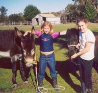 Grampians Sunrise Holiday Villas - Lismore Accommodation