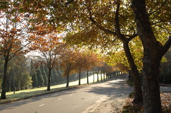 Fairmont Resort Blue Mountains MGallery By Sofitel - Lismore Accommodation 30