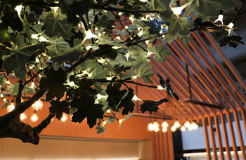 Ovolo Woolloomooloo - Lismore Accommodation 25