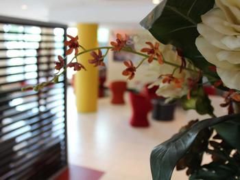 Ibis Newcastle - Lismore Accommodation 24