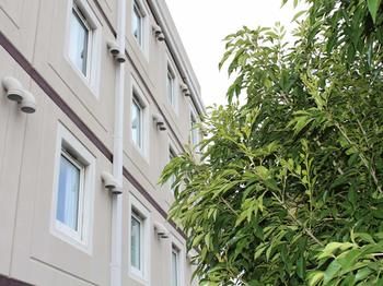 Ibis Newcastle - Lismore Accommodation 30