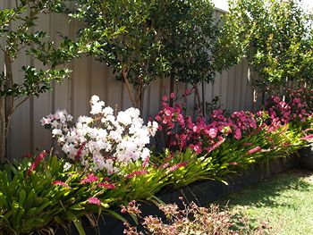 Pigeon House Motor Inn - Lismore Accommodation 28