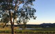 Estate Tuscany - thumb 1