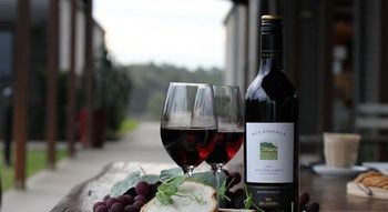 Estate Tuscany - Lismore Accommodation 11