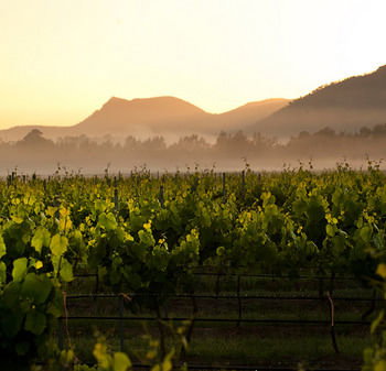 Estate Tuscany - Lismore Accommodation 21