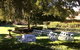 Mercure Resort Hunter Valley Gardens - thumb 35