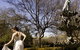Mercure Resort Hunter Valley Gardens - thumb 36