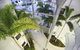 Beach Club Resort - thumb 34